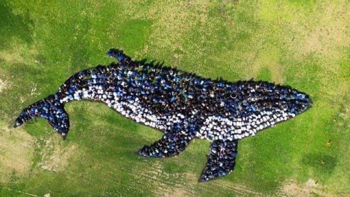 Students Collaborate on Larger-than-Life Art Project