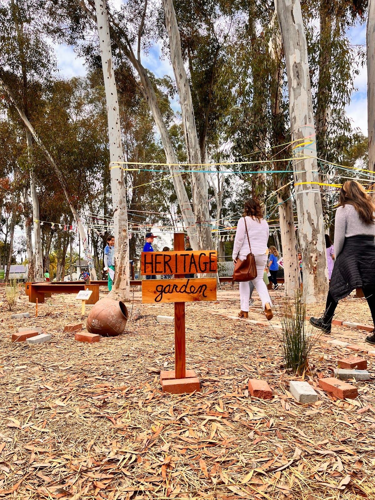 One of the numerous gardens and outdoor learning spaces at Santiago STEAM Magnet school. Photo by Jeannette Andruss.